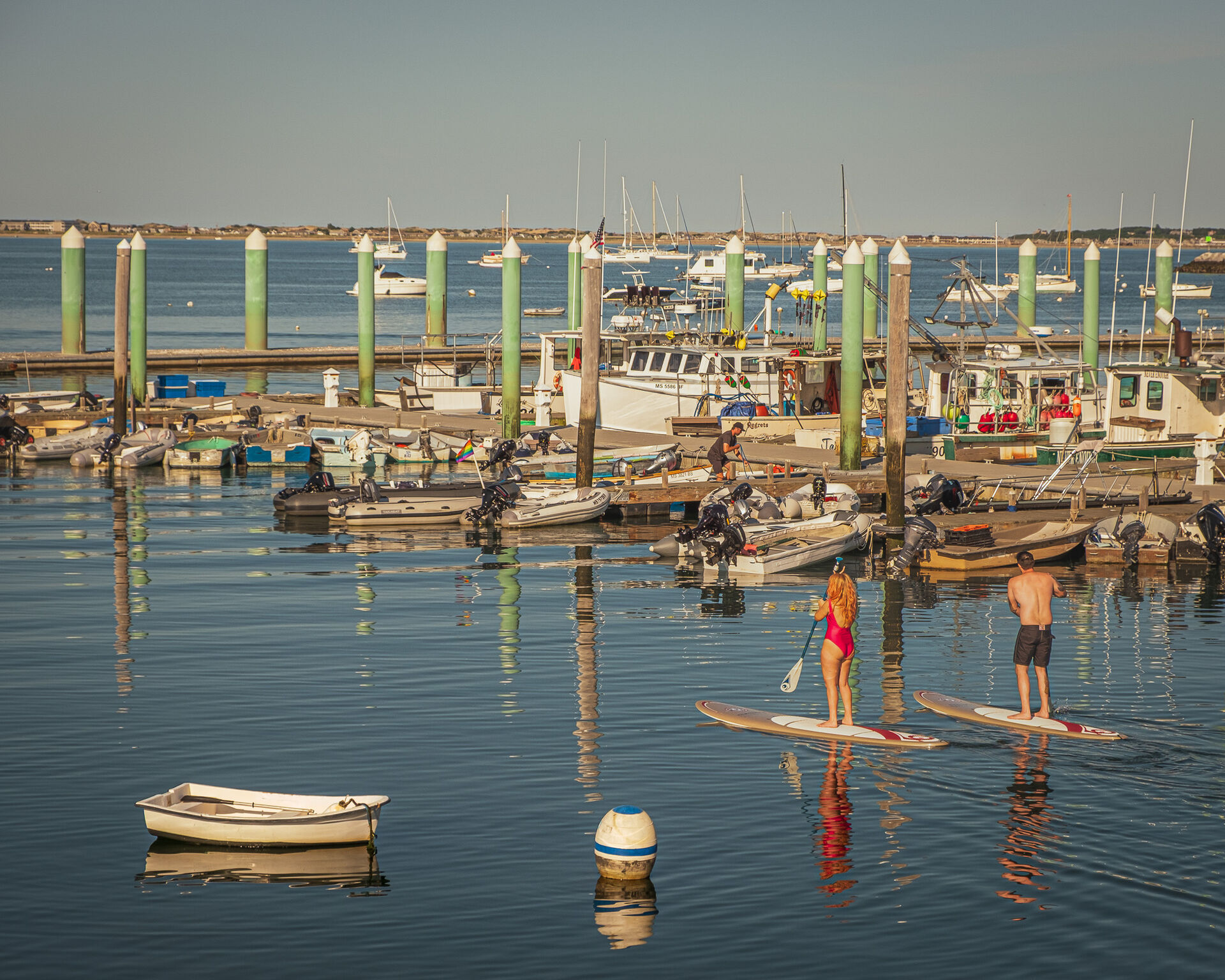 Paddleboarders